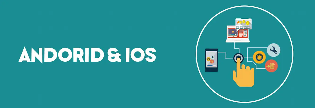 Professional Programming Training Faridabad